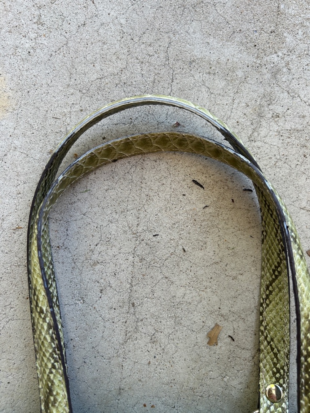Liz Claiborne Olive Green Snake-Embossed Satchel - Picture 8 of 10